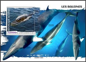 Souvenir Sheet, Balaena mysticetus, Guinea,  , Animals (Fauna), Sea (Marine) Mammals, Sea Life, Snakes, Whales