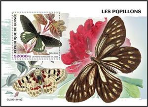 Souvenir Sheet, Battus belus, Guinea,  , Animals (Fauna), Butterflies and Moths, Insects
