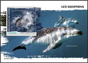 Souvenir Sheet, Delphinus truncatus, Guinea,  , Animals (Fauna), Dolphins, Sea (Marine) Mammals, Sea Life