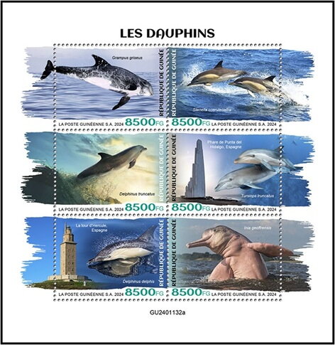 Dolphins