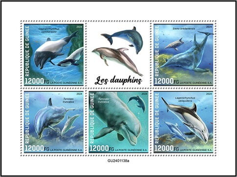 Dolphins