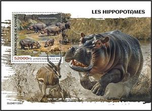 Souvenir Sheet, Hippopotamus amphibius, Guinea,  , Animals (Fauna), Hippopotamuses