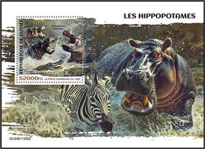 Souvenir Sheet, Hippopotamus amphibius, Guinea,  , Animals (Fauna), Hippopotamuses