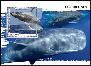 Souvenir Sheet, Megaptera novaeangliae, Guinea,  , Animals (Fauna), Sea (Marine) Mammals, Sea Life, Whales