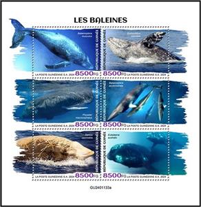 Mini Sheet, Whales, Guinea,  , Animals (Fauna), Sea (Marine) Mammals, Sea Life, Whales