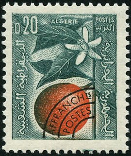 Orange branch and blossom