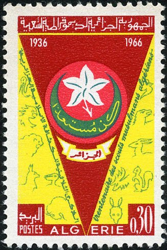 Scout flag