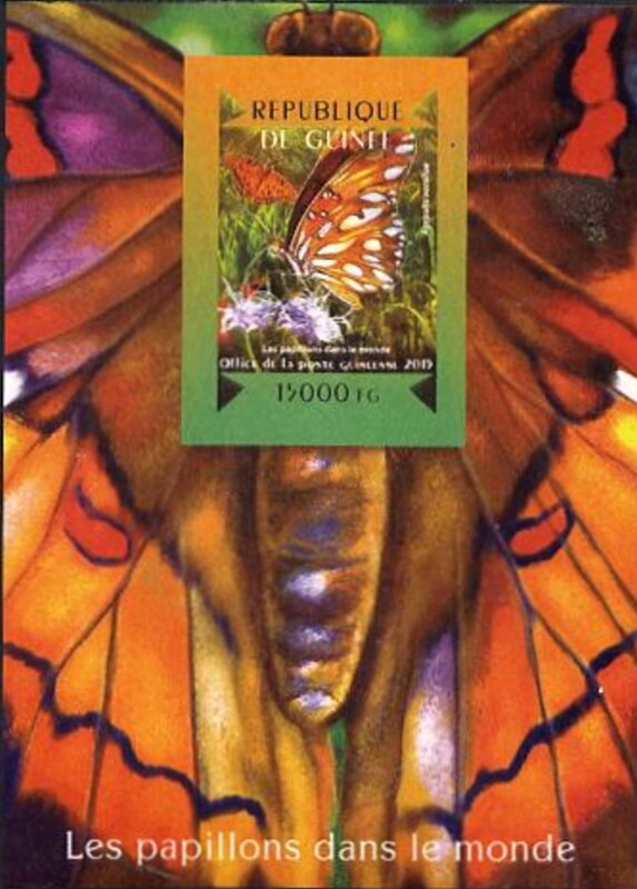 Butterflies of the World - Agraulis vanillae