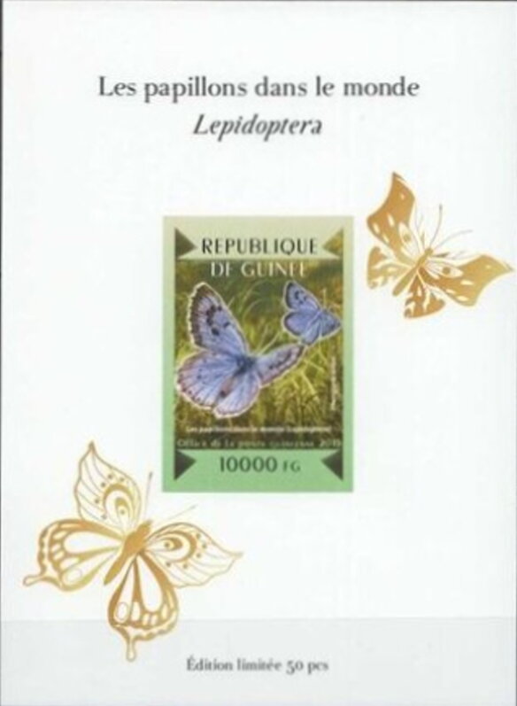 Butterflies of the World - Gold Impressions