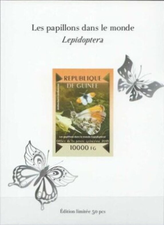 Butterflies of the World - Silver Impressions