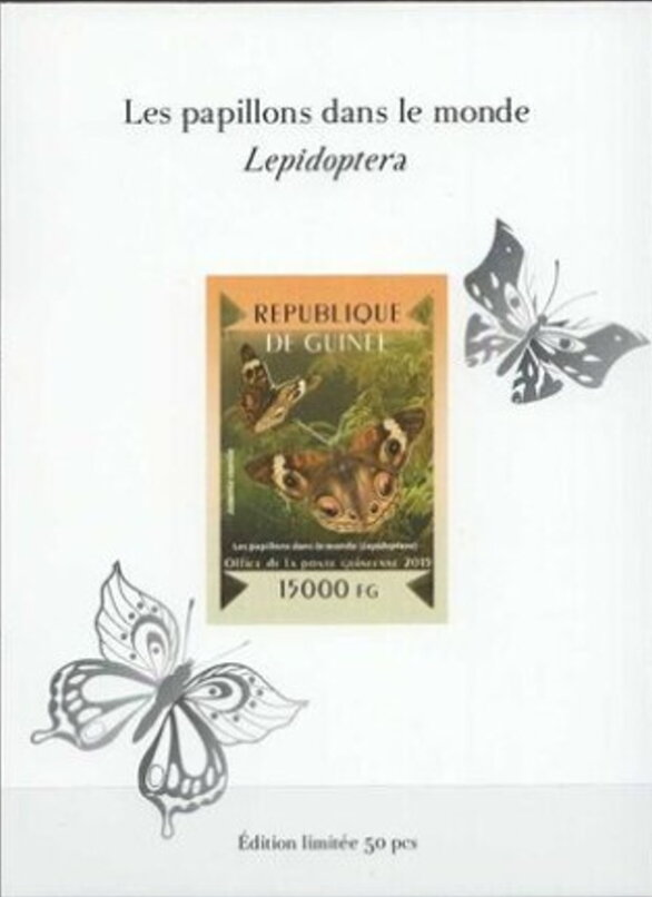 Butterflies of the World - Silver Impressions