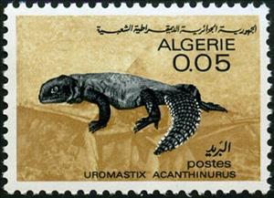Stamp, North African Spiny-tailed Lizard (Uromastix acanthinurus), Algeria,  , Reptiles, Animals (Fauna)