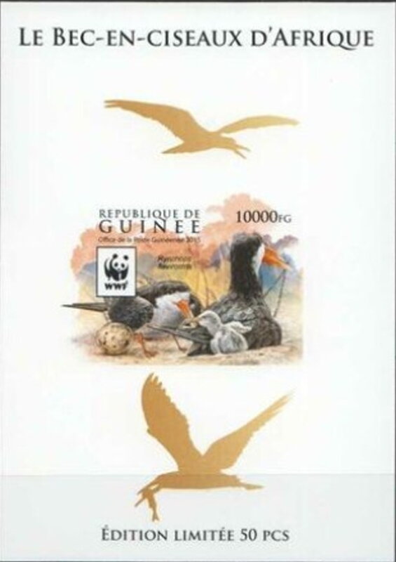 WWF - African Skimmer (Rynchops flavirostris) - Gold
