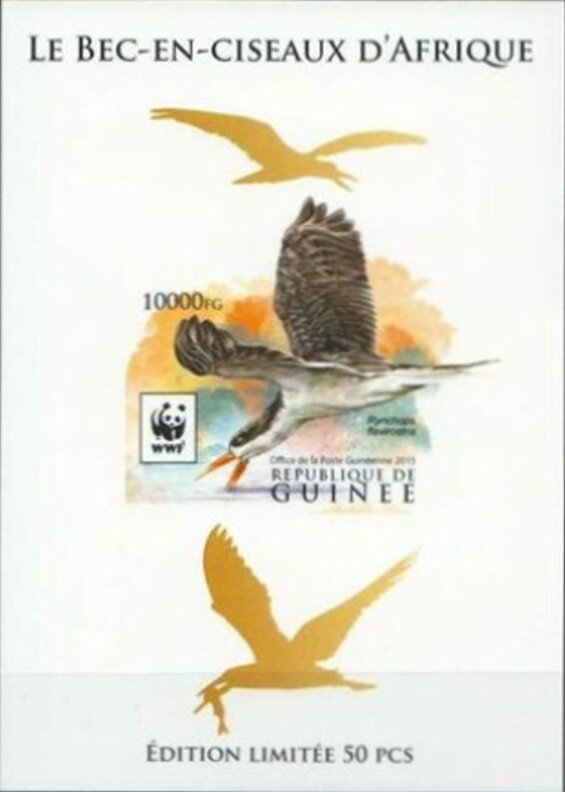 WWF - African Skimmer (Rynchops flavirostris) - Gold