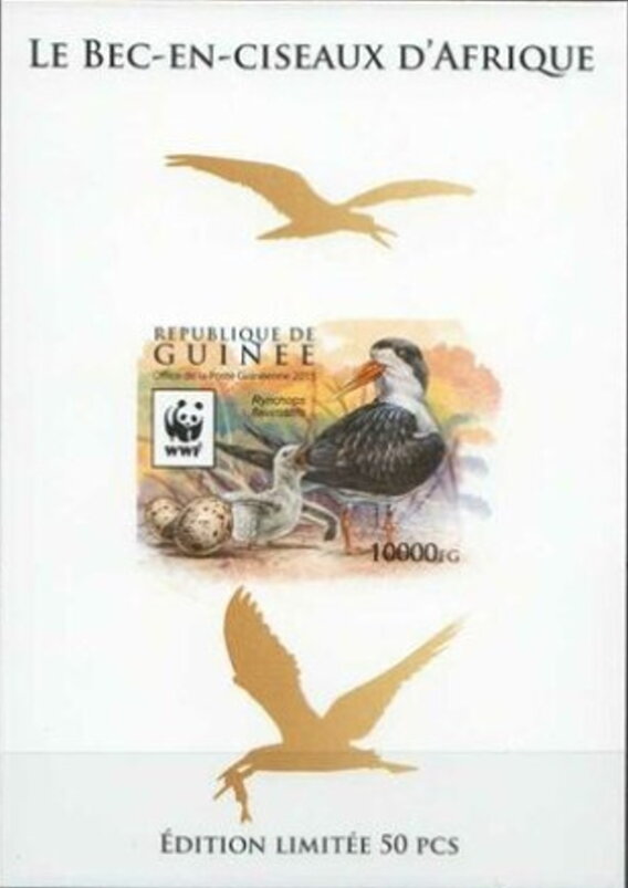WWF - African Skimmer (Rynchops flavirostris) - Gold