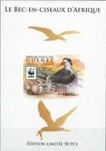 Souvenir Sheet, WWF - African Skimmer (Rynchops flavirostris) - Gold, Guinea,  , Animals (Fauna), Birds, WWF