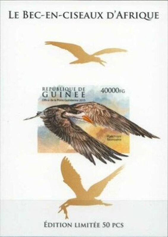 WWF - African Skimmer (Rynchops flavirostris) - Gold