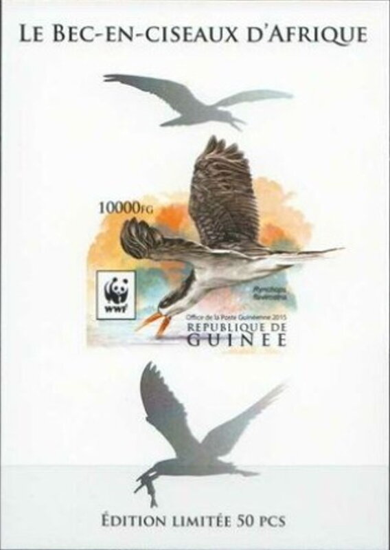 WWF - African Skimmer (Rynchops flavirostris) - Silver