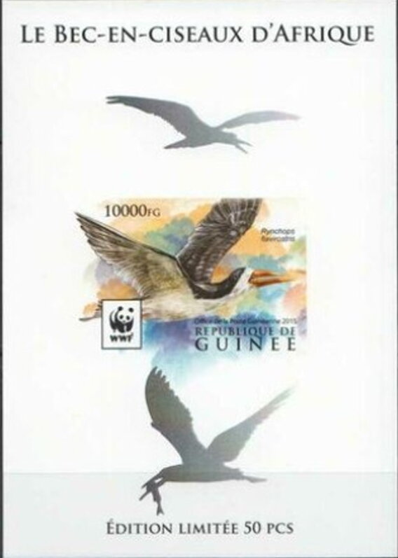 WWF - African Skimmer (Rynchops flavirostris) - Silver