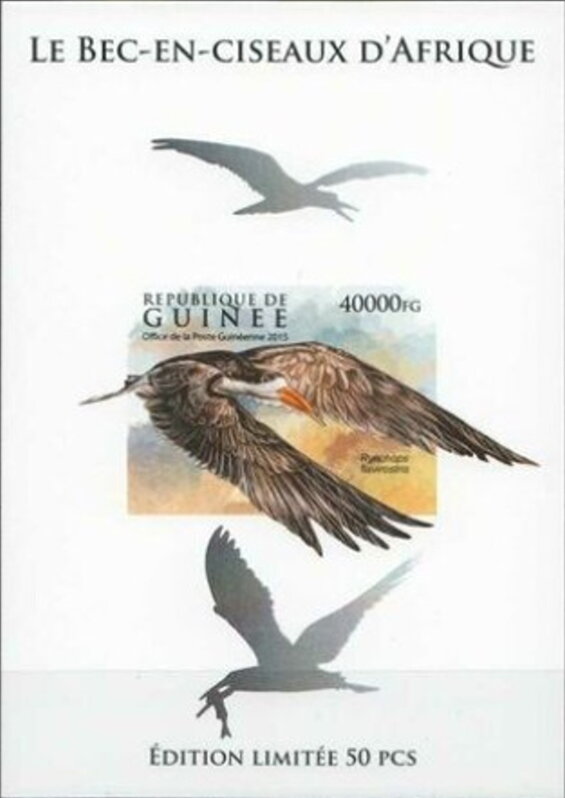 WWF - African Skimmer (Rynchops flavirostris) - Silver