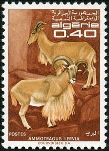 Stamp, Barbary Sheep (Ammotragus lervia), Algeria,  , Mammals, Goats, Animals (Fauna)
