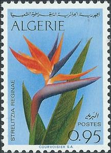 Stamp, Bird of paradise (Strelitzia reginae), Algeria,  , Plants (Flora)