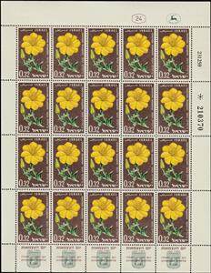 Full Pane, Evening Primrose (Oenothera drummondii), Israel,  , Anniversaries and Jubilees, Flowers, National / Independence Days, Plants (Flora)