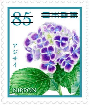 Hydrangea