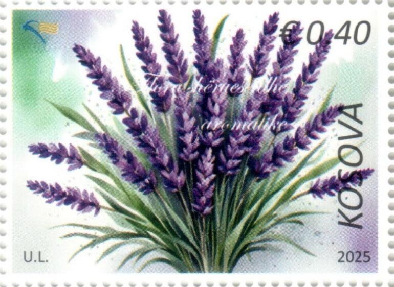 Aromatic & Theraputic Flora