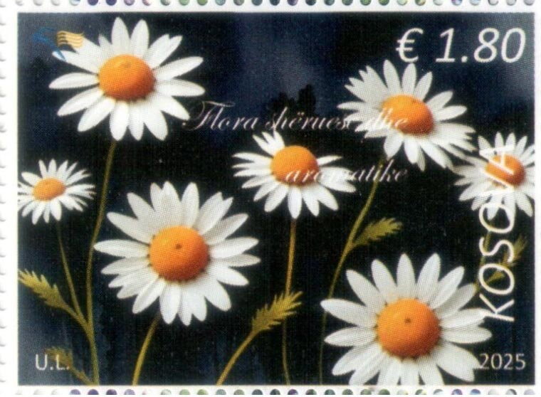 Aromatic & Theraputic Flora