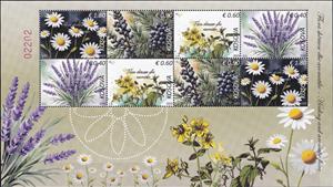 Full Pane, Aromatic & Theraputic Flora, Kosovo,  , Plants (Flora)