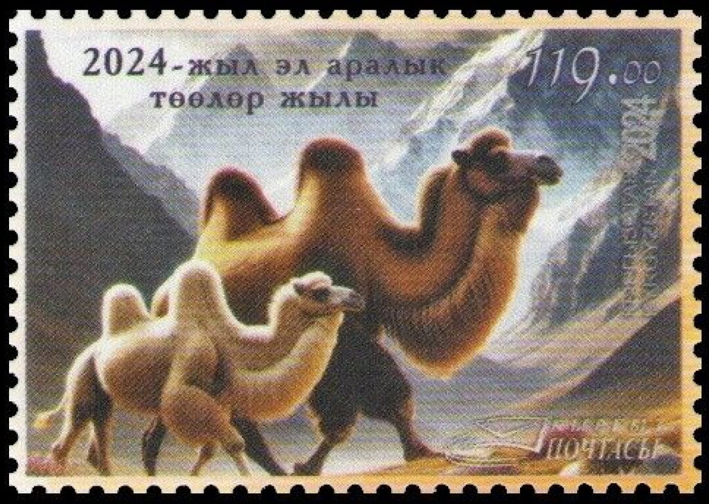 International Year of Camelids