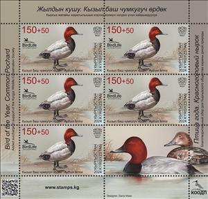 Full Pane, Common Pochard (Aythya ferina), Kyrgyzstan- Kyrgyz Express Post,  , Ducks