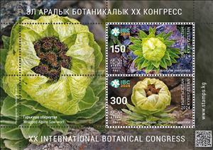 Souvenir Sheet, Wrapped Alpine Saw-wort (Saussurea involucrata), Kyrgyzstan- Kyrgyz Express Post,  , Flowers