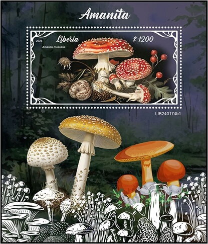 Amanita muscaria