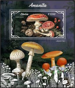 Souvenir Sheet, Amanita muscaria, Liberia,  , Mushrooms, Plants (Flora)