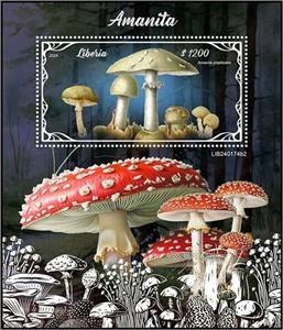Souvenir Sheet, Amanita phalloides, Liberia,  , Mushrooms, Plants (Flora)