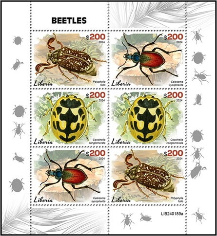 Beetles