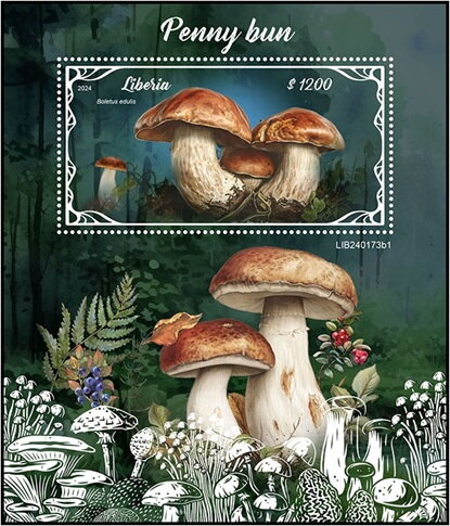 Boletus edulis