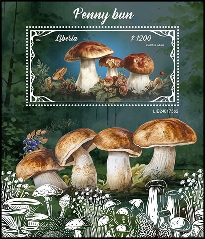 Boletus edulis
