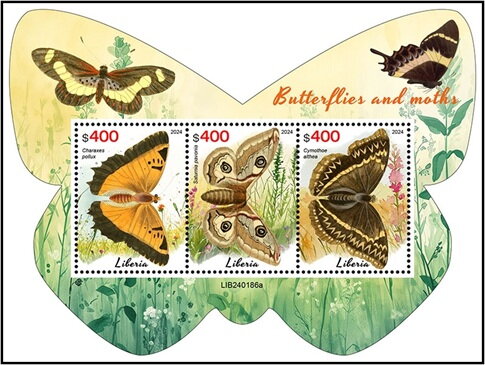Butterflies and Moths