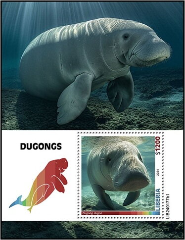 Dugong dugon