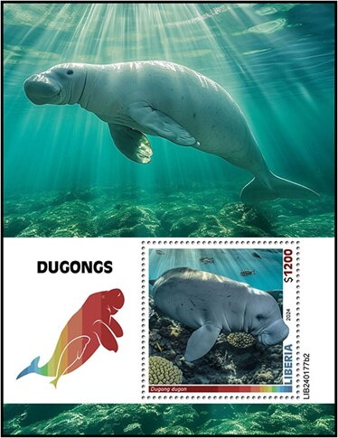 Dugong dugon