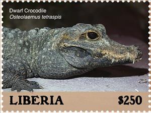 Stamp, Dwarf Crocodile (Osteolaemus tetraspis), Liberia,  , Animals (Fauna), Crocodiles, Reptiles
