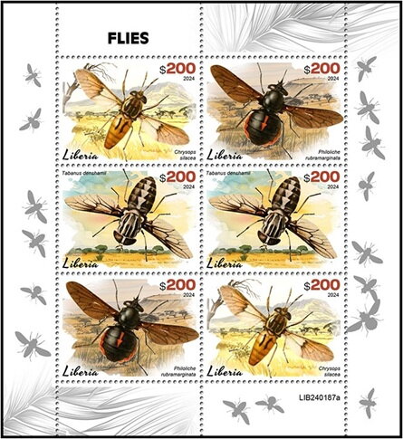 Flies