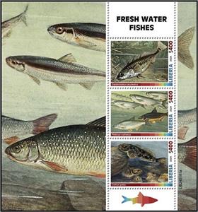 Mini Sheet, Fresh Water Fishes, Liberia,  , Fishes, Sea Life