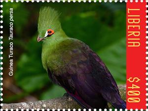 Stamp, Guinea Toraco (Tauraco persa), Liberia,  , Animals (Fauna), Birds