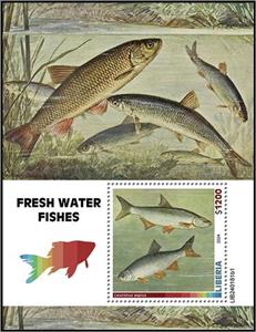 Souvenir Sheet, Leuciscus aspius, Liberia,  , Fishes, Sea Life