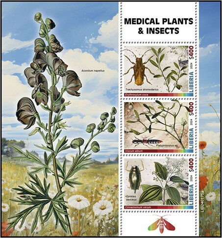 Medical Plants and Insects