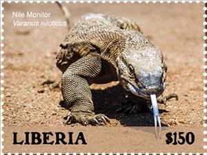 Stamp, Nile Monitor (Varanus niloticus), Liberia,  , Animals (Fauna), Reptiles
